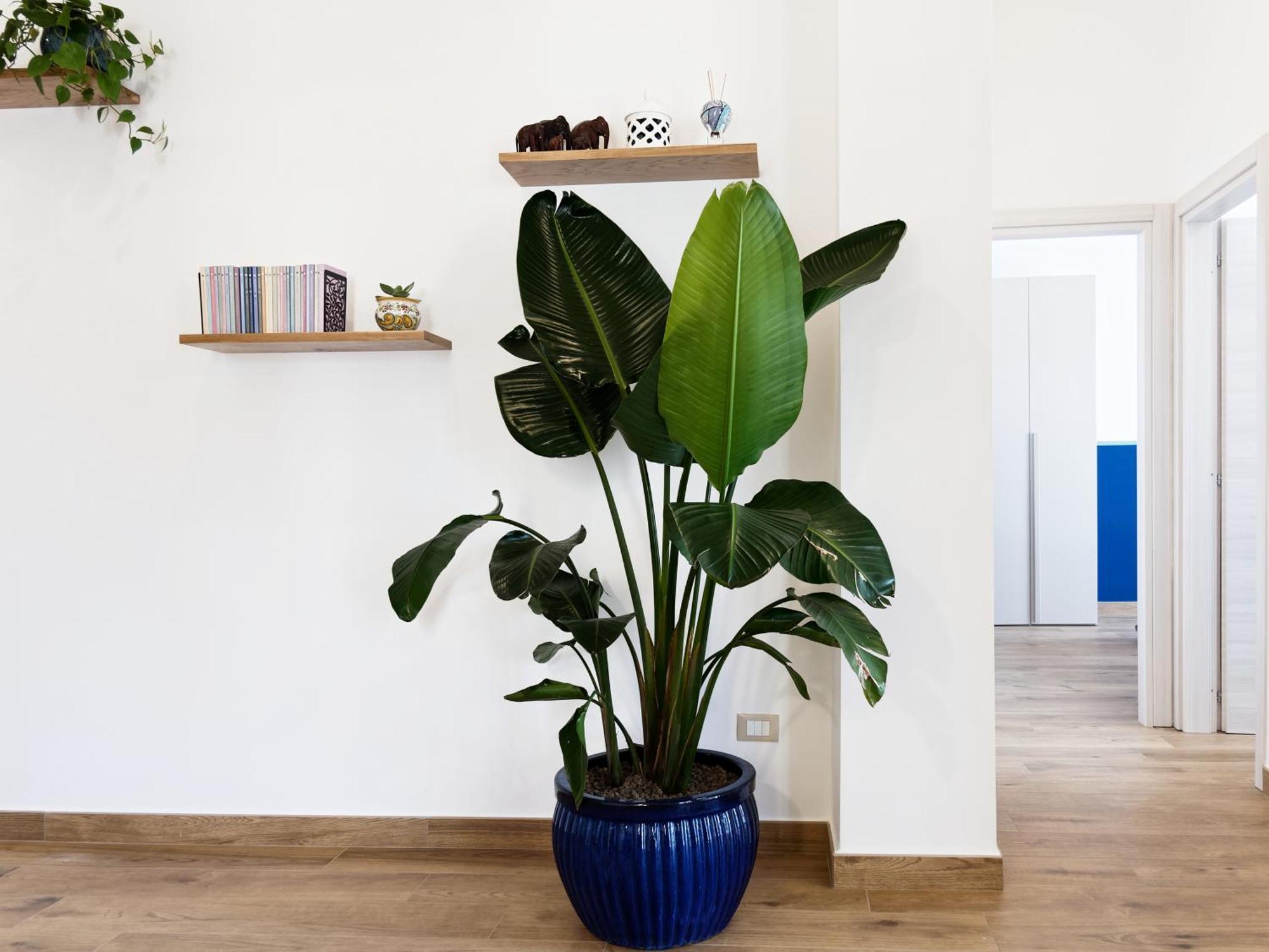 Susanna Boutique Home Vico Equense Kültér fotó