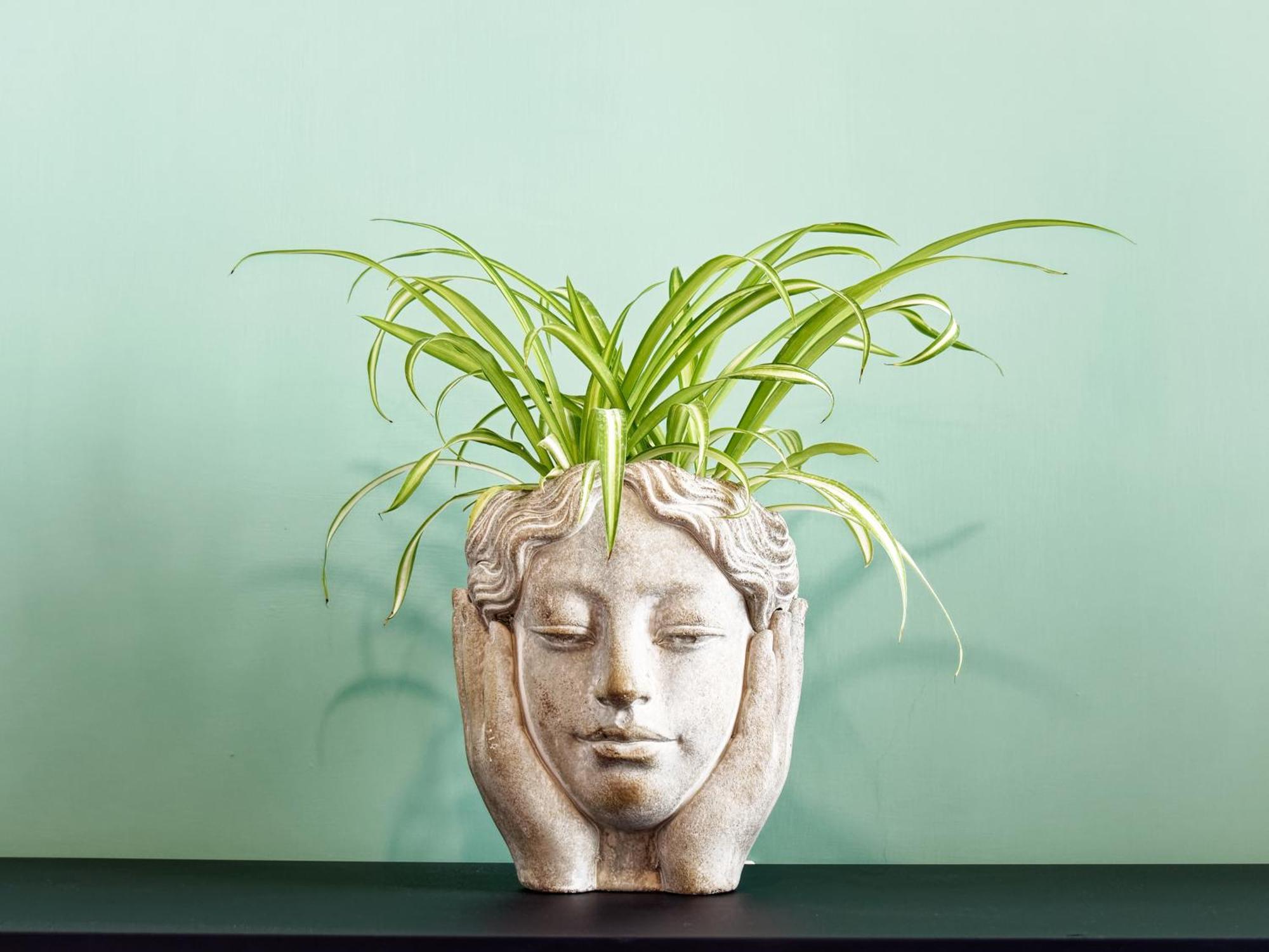 Susanna Boutique Home Vico Equense Kültér fotó