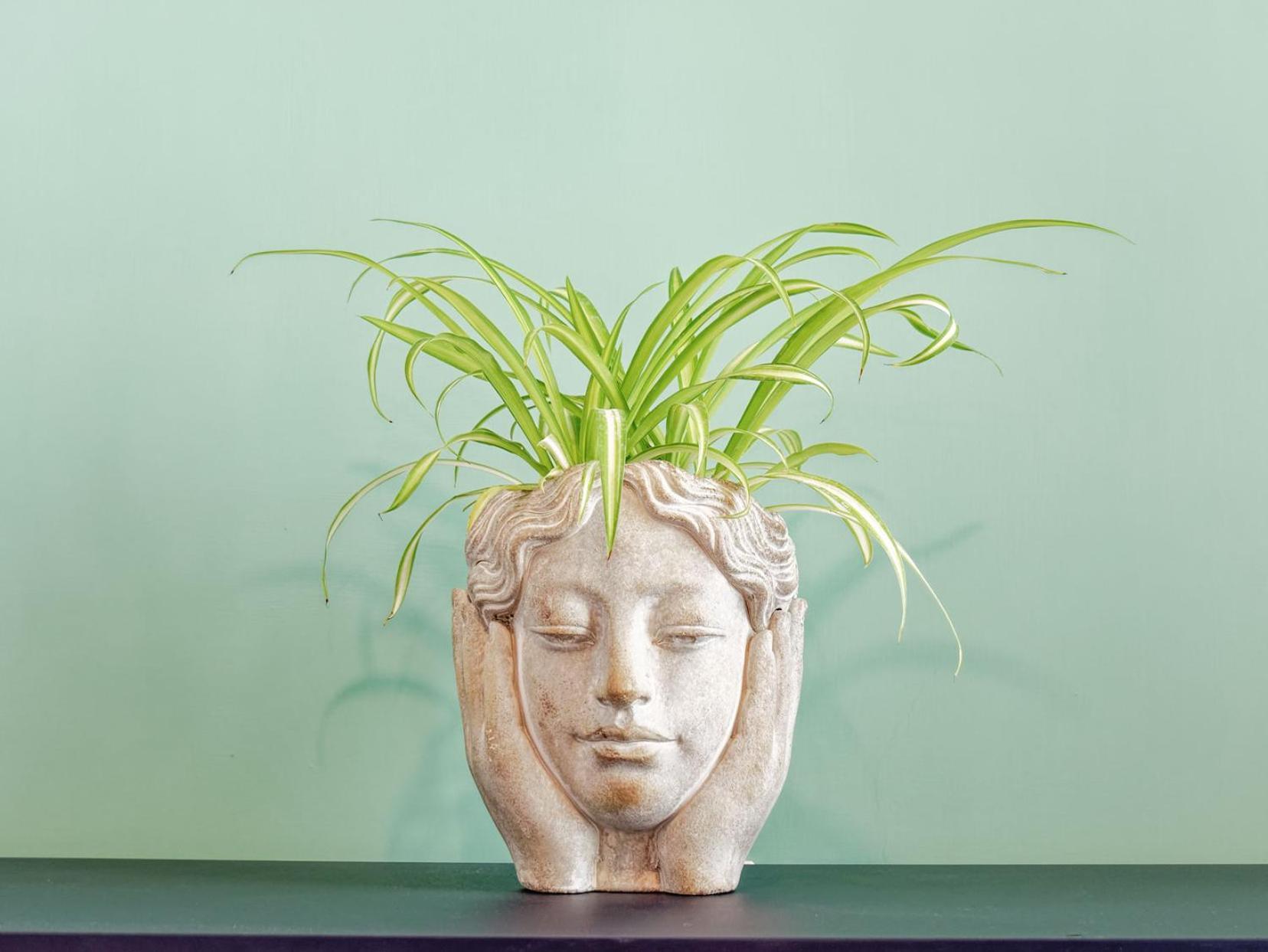 Susanna Boutique Home Vico Equense Kültér fotó